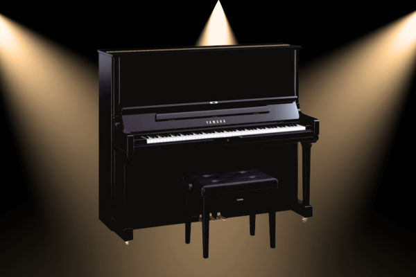 Untitled (800 x 620 px)-15-2