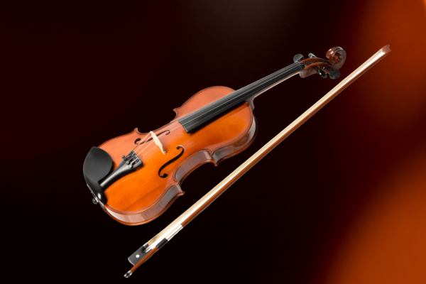 Untitled (800 x 620 px)-3-2